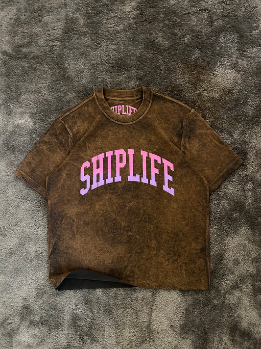 ARC WASHED TEE IN GRADIENT BROWN