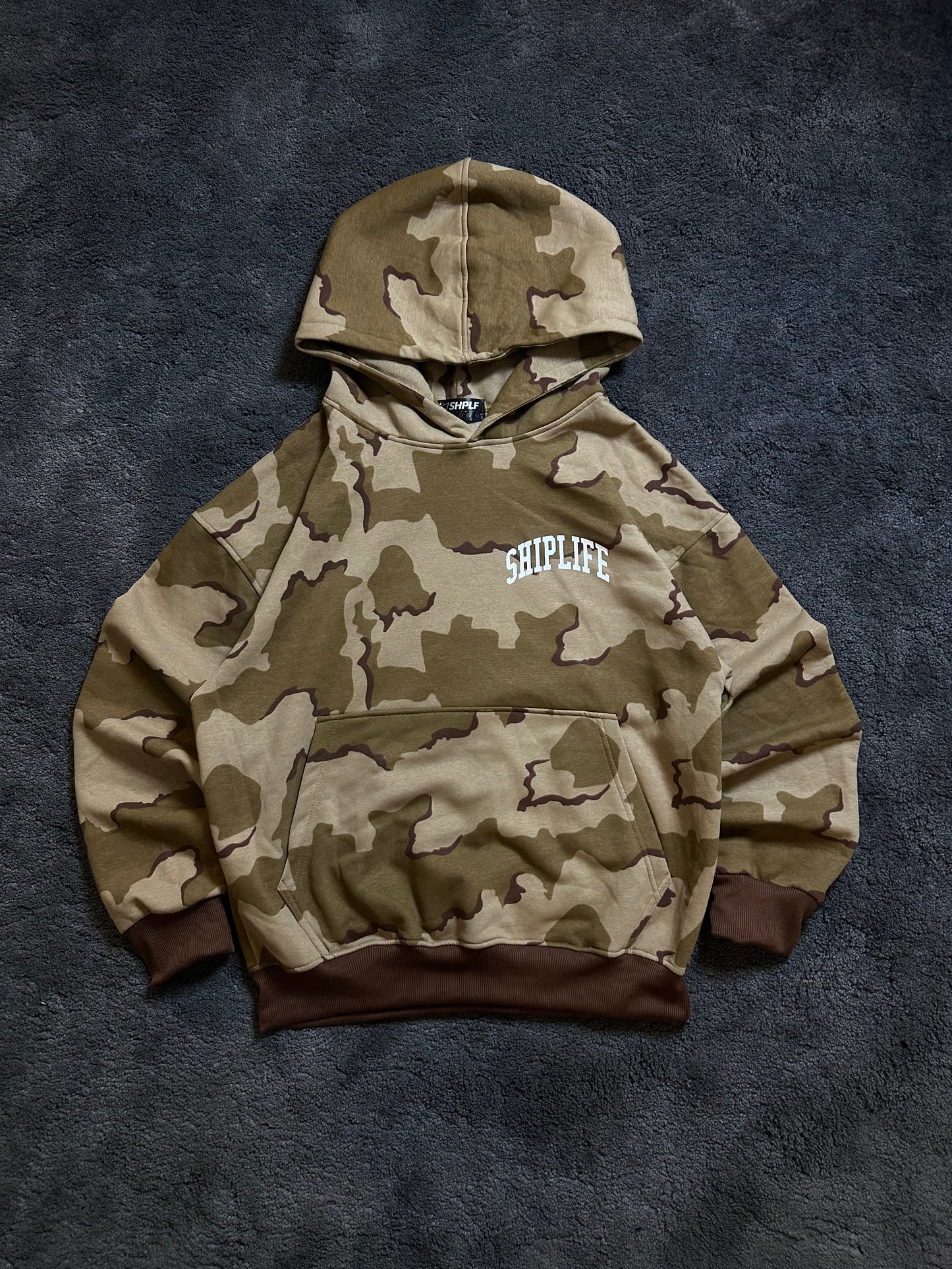 ARC CAMOU HOODIE